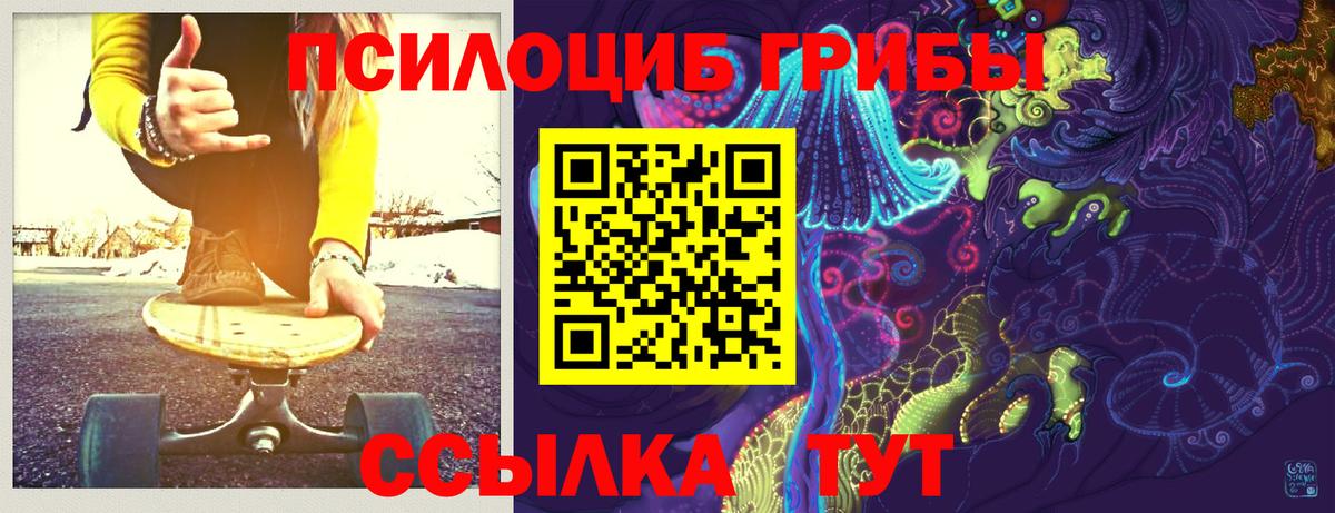 Псилоцибиновые грибы Psilocybe  Вход с VPN  Волгодонск  Псилоцибиновые грибы Magic Shrooms 