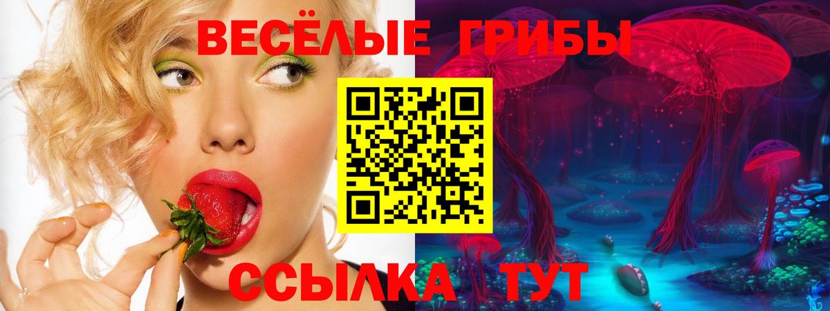Псилоцибиновые грибы мицелий Волгодонск